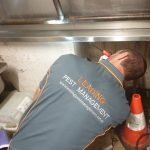 Leading Pest management Leading Pest management