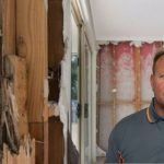 Timber Pest Inspection